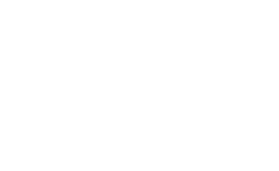 PSI Logo